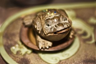 Amulet-toad for good luck and prosperity
